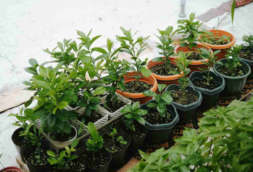 efeito domino na varanda